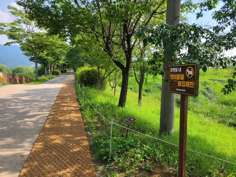 한강 뚝방길 모랫길은 지난 6월 착공해 1개월 간의 공사를 거친 끝에 이달 약 4.9km 구간에 맨발 걷기가 가능한 모랫길로 조성됐다.