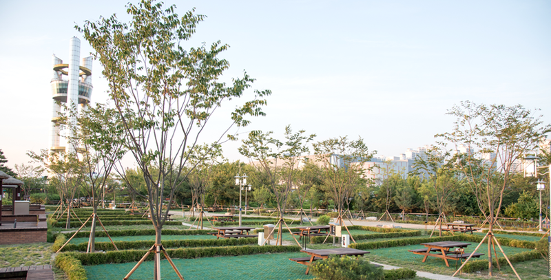 오산시 맑음터공원 캠핑장 잔디사이트인 '까산이존' (오산시 맑음터공원 캠핑장 제공)