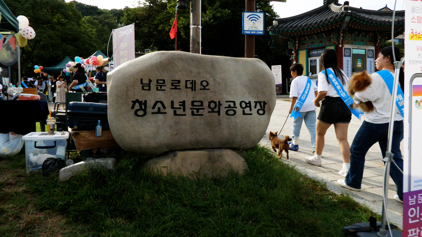 남문로데오 청소년문화공연장에서는 다양한 문화행사들이 열리고 있다. 사진은 '수원다함개 펫크닉' 모습.