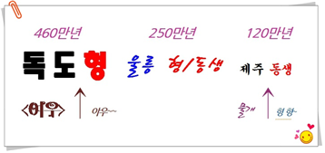 독도의 나이를 비교함 