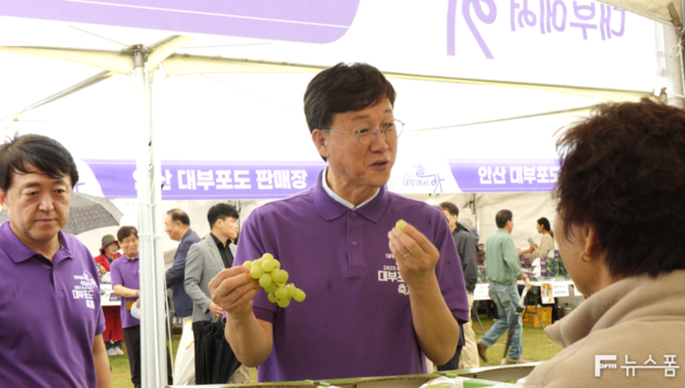 안산 대부포도축제 개막... 대부도를 즐기고 포도향에 취하다