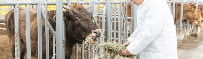 김동연 “경기도를 대한민국 축산의 허브로 만들 것”
