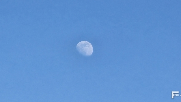 [포토에세이] 낮 달