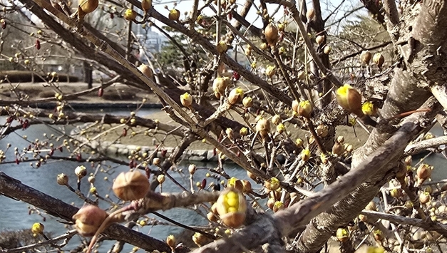[포토에세이] 저 왔어요!