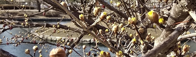 [포토에세이] 저 왔어요!