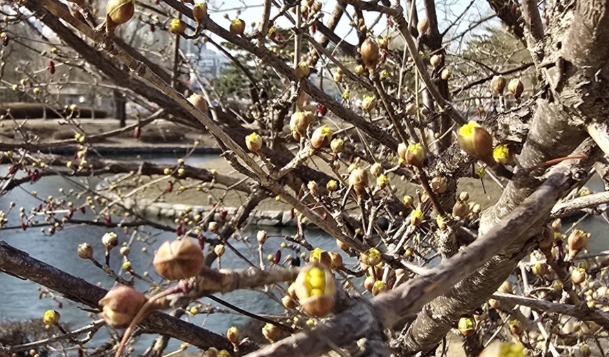 [포토에세이] 저 왔어요!