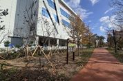 수원시, 수원산업단지에 약 1만m2 규모 미세먼지 차단숲 조성
