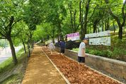 성남시 맨발 황톳길 5곳 추가 조성… 총 11곳으로 늘려