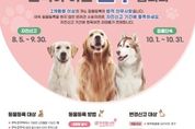 경기도, 반려동물 등록 자진신고 기간... "분실‧훼손 위험 적은 내장칩으로"
