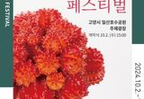 AI 작품부터 천년초 비누까지... 선인장 페스티벌에서 만나는 특별한 체험