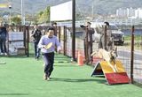 1500만 반려인 사로잡는 '반려동물 친화관광도시 '포천