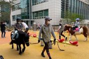 경기도 어린이 말 체험, 3월부터 전액 무료로 진행
