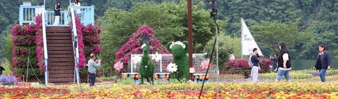 화려한 꽃들의 유혹… 가평 ‘자라섬 꽃 페스타’ 개막