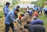 초록 심어 마음 돌보다… 고양시, 회복하는 도시로