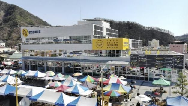 가평군 소상공인 3년 영업 유지율 61.1... '생존율' 도내 2위