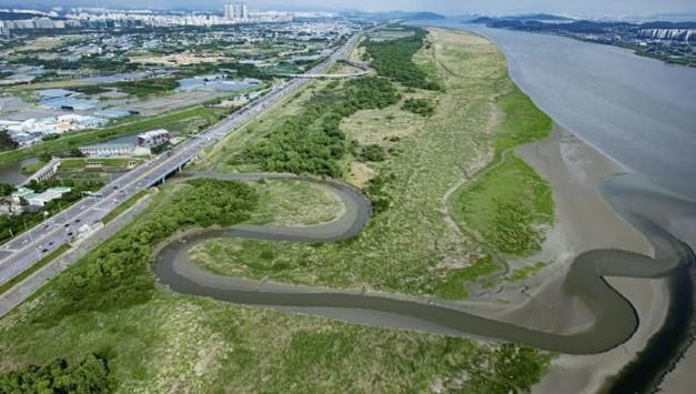 3만 마리 철새는 왜 장항습지를 찾나?