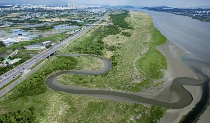 3만 마리 철새는 왜 장항습지를 찾나?