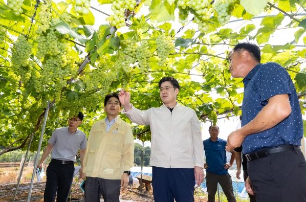 오병권 부지사, 안산 포도 농가 찾아 폭염 대응 상황 점검