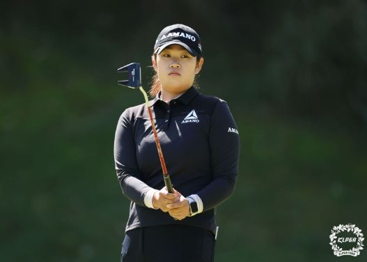 김연희