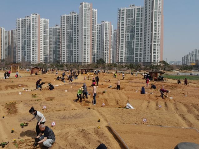 흥시가 매년 추진하는 도시농업공원 ‘시민행복텃밭’의 올해 참여 신청에 많은 시민이 몰렸다..