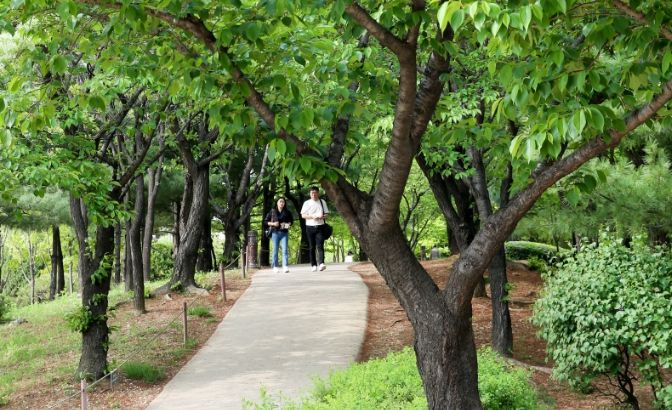 산책로가 잘 조성된 상동호수공원. 시민들이 여유롭게 산책을 즐기고 있다.