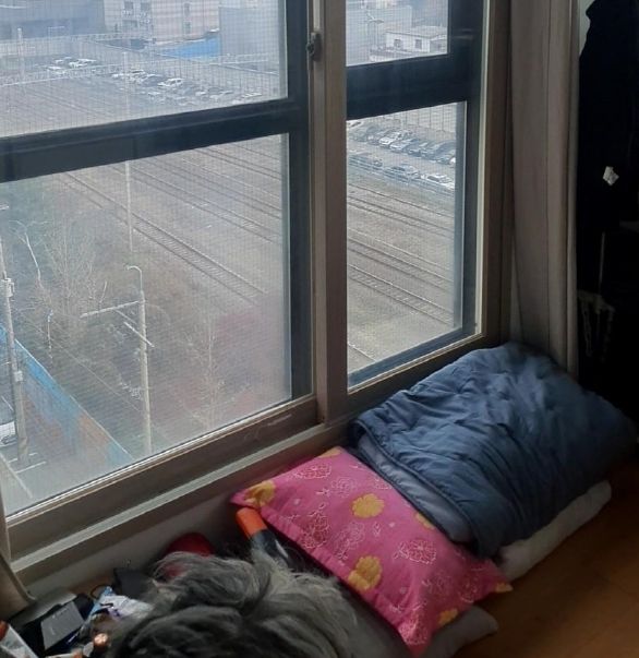 ‘주거상향 지원사업’ 이후 이주한 임대주택