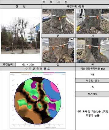 동두천시, 6개 노선 650여 본 위험 가로수 안전진단 시행
