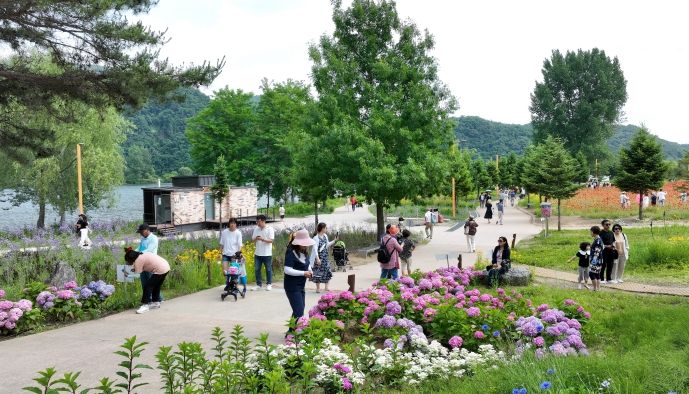가평 ‘자라섬 꽃 페스타’, 개막 열흘만에 관람객 6만 돌파