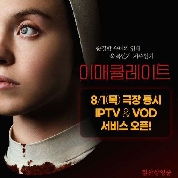 이매큘레이트