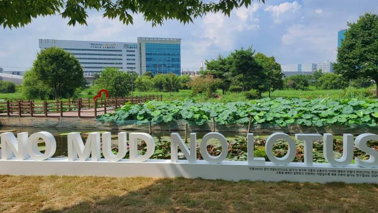 오산시, 오산천 연꽃단지 포토존 제작 설치