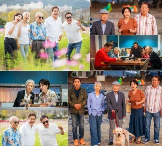사진 제공: 아이엠티브이