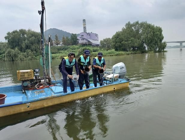 양평군, 수산 자원 조성을 위한 대농갱이 치어 방류