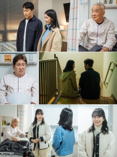 사진 제공: 아이엠티브이