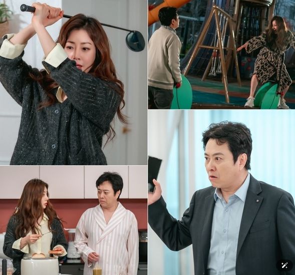 사진 제공 : 스튜디오 플럼