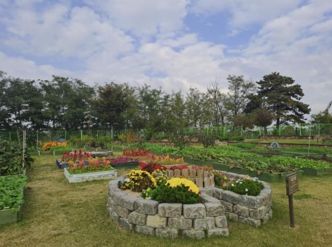 정원형 텃밭으로 조성된 다목적 공동체 텃밭