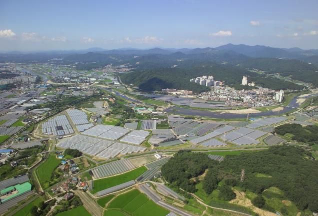 고양화훼특구 내 원당화훼단지 전경