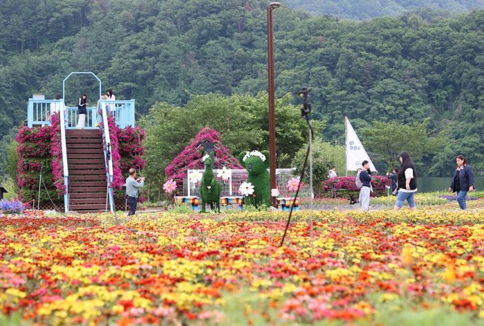 화려한 꽃들의 유혹… 가평 ‘자라섬 꽃 페스타’ 개막