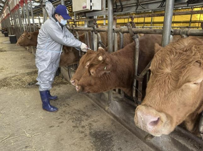 가축전염병 예방백신 일제접종