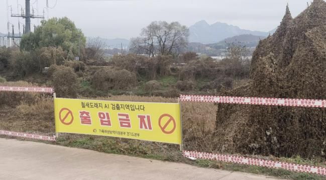 창릉천 철새도래지 출입통제